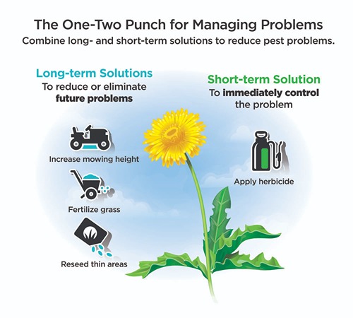 The one-two punch for management problems chart