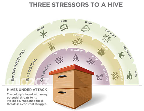 PU_Bees_3StressorsToHives_PRINT